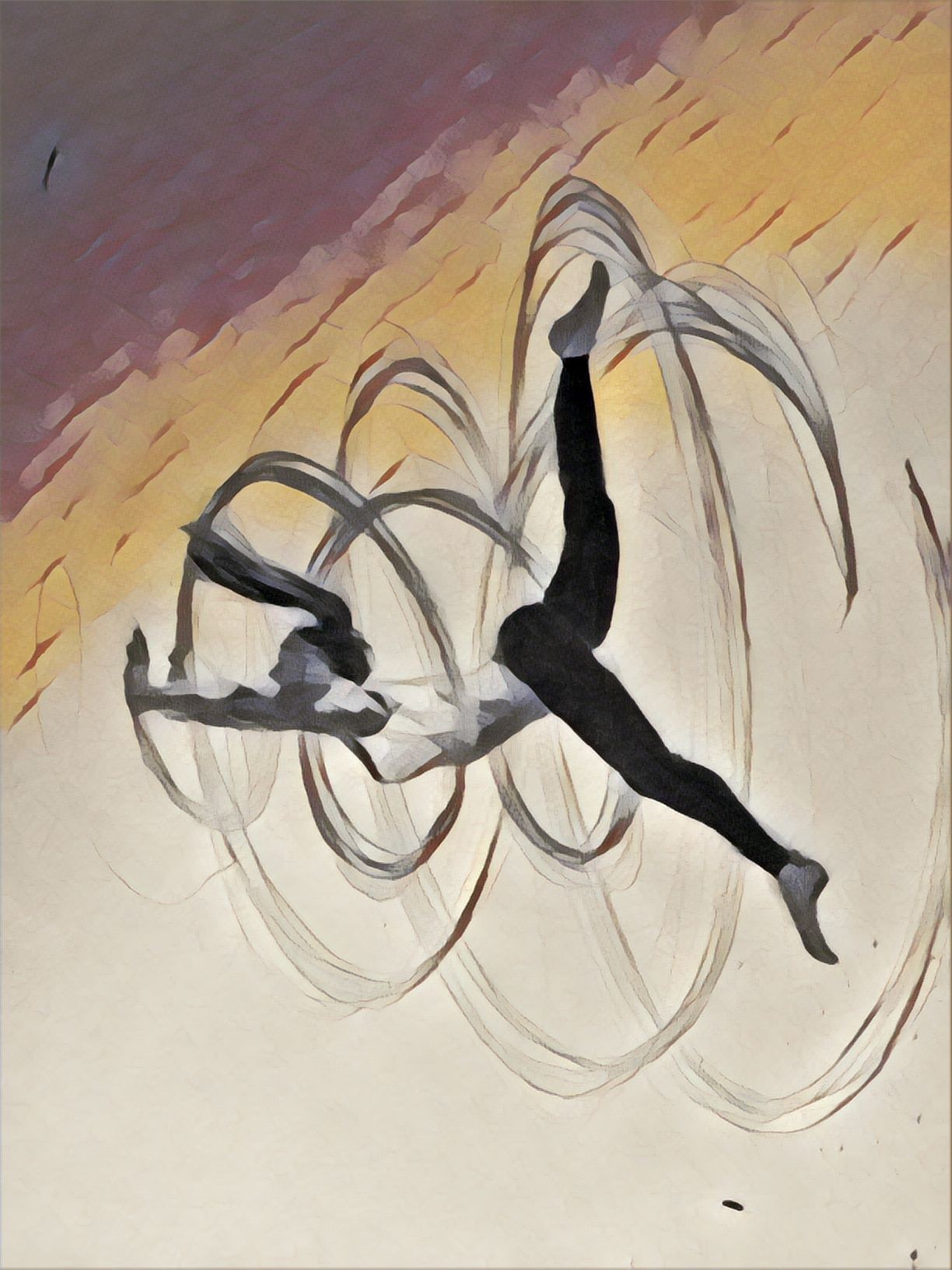 The gymnast